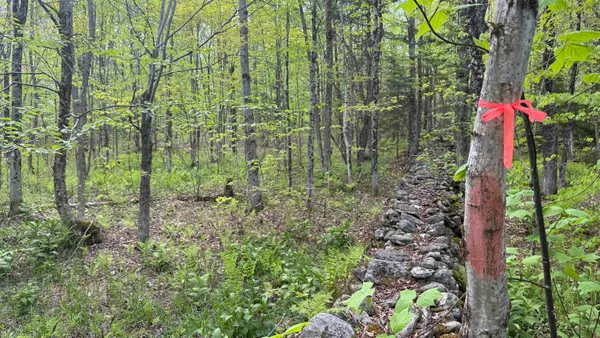 $150,000 | 0 Potter Road, Lowell, VT 05847