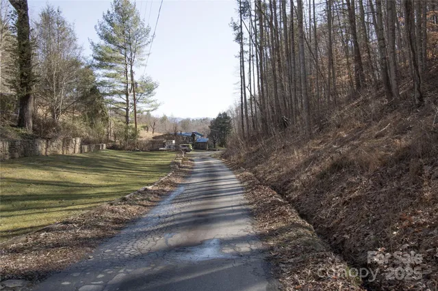 a view of a yard with large trees