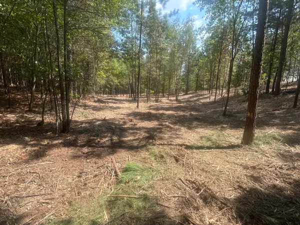 $119,900 | 13 Stonechase Lane, Cohutta, GA 30710