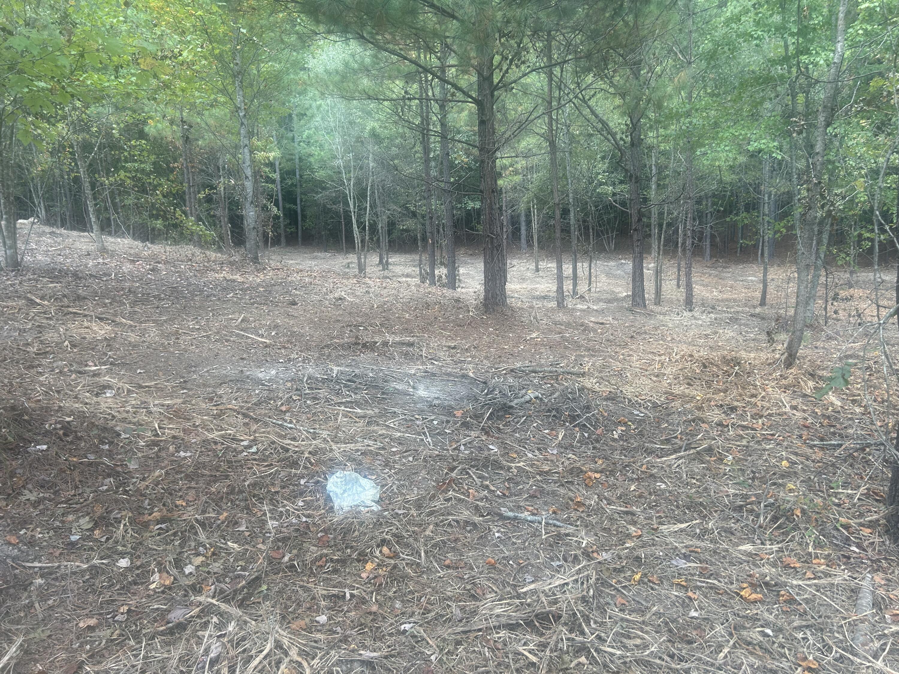 13 Stonechase Lane Cohutta, GA 30710 - Photo 11 of 17 IMG_4048