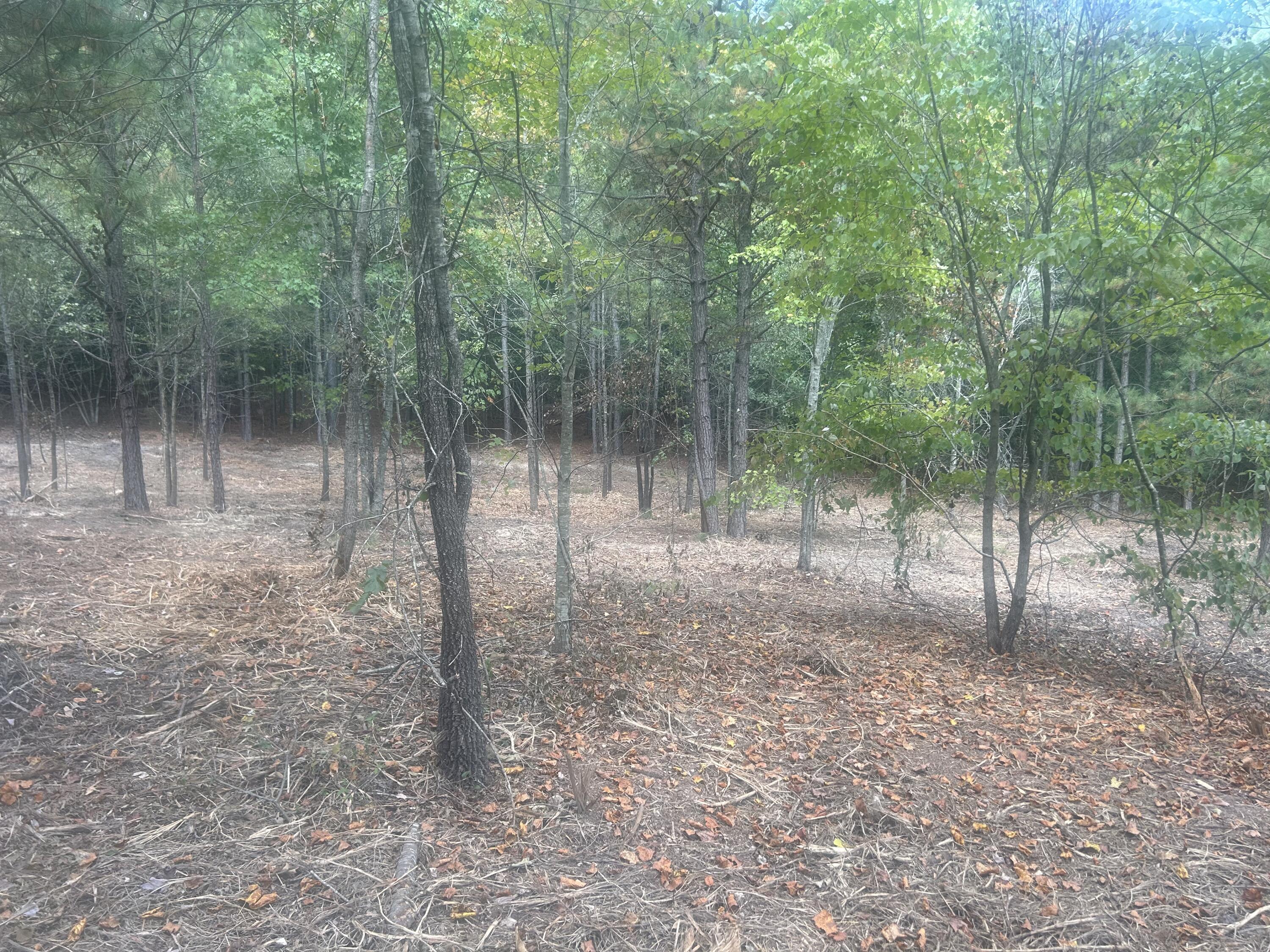 13 Stonechase Lane Cohutta, GA 30710 - Photo 12 of 17 IMG_4049