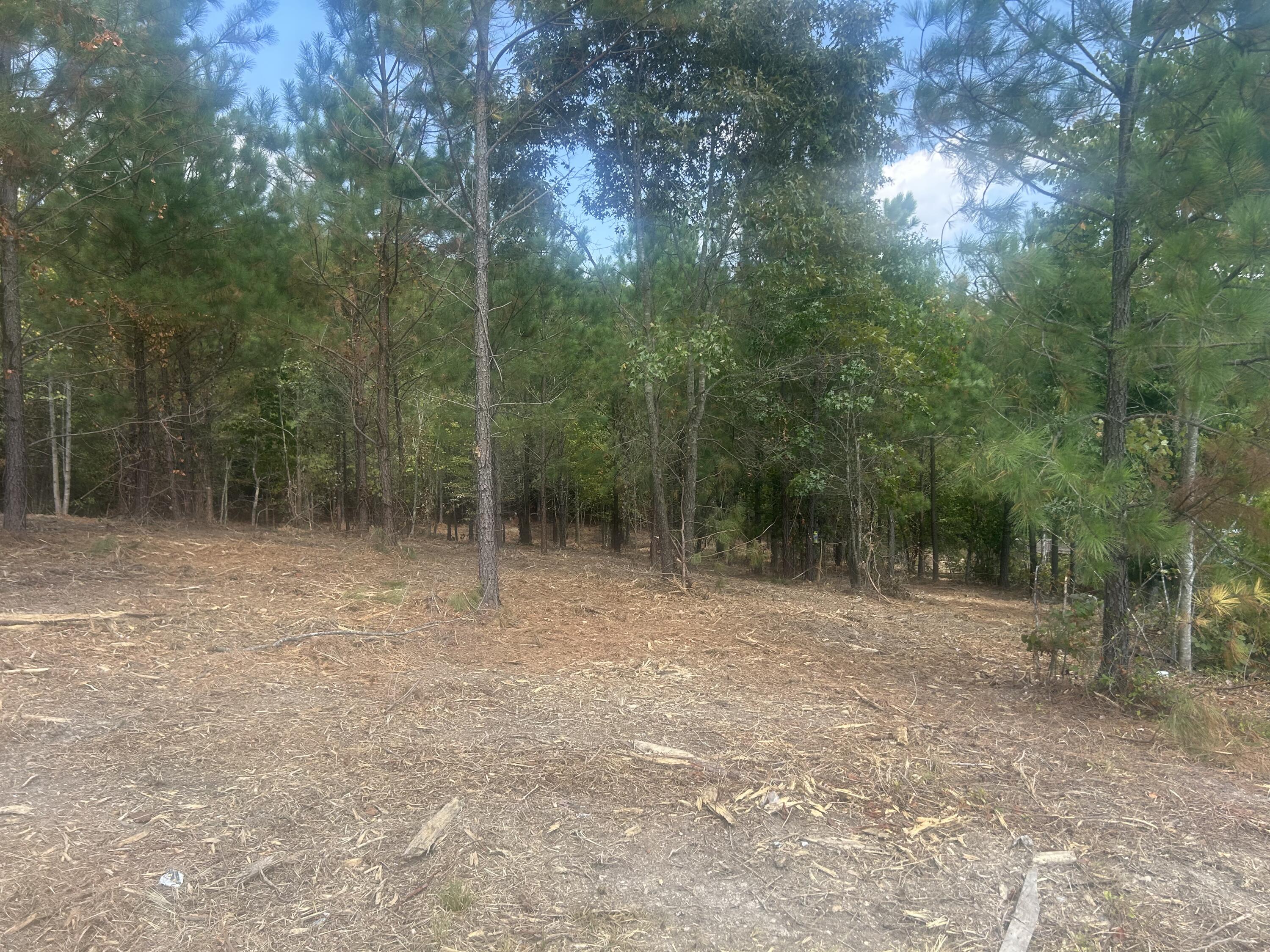 13 Stonechase Lane Cohutta, GA 30710 - Photo 13 of 17 IMG_4050