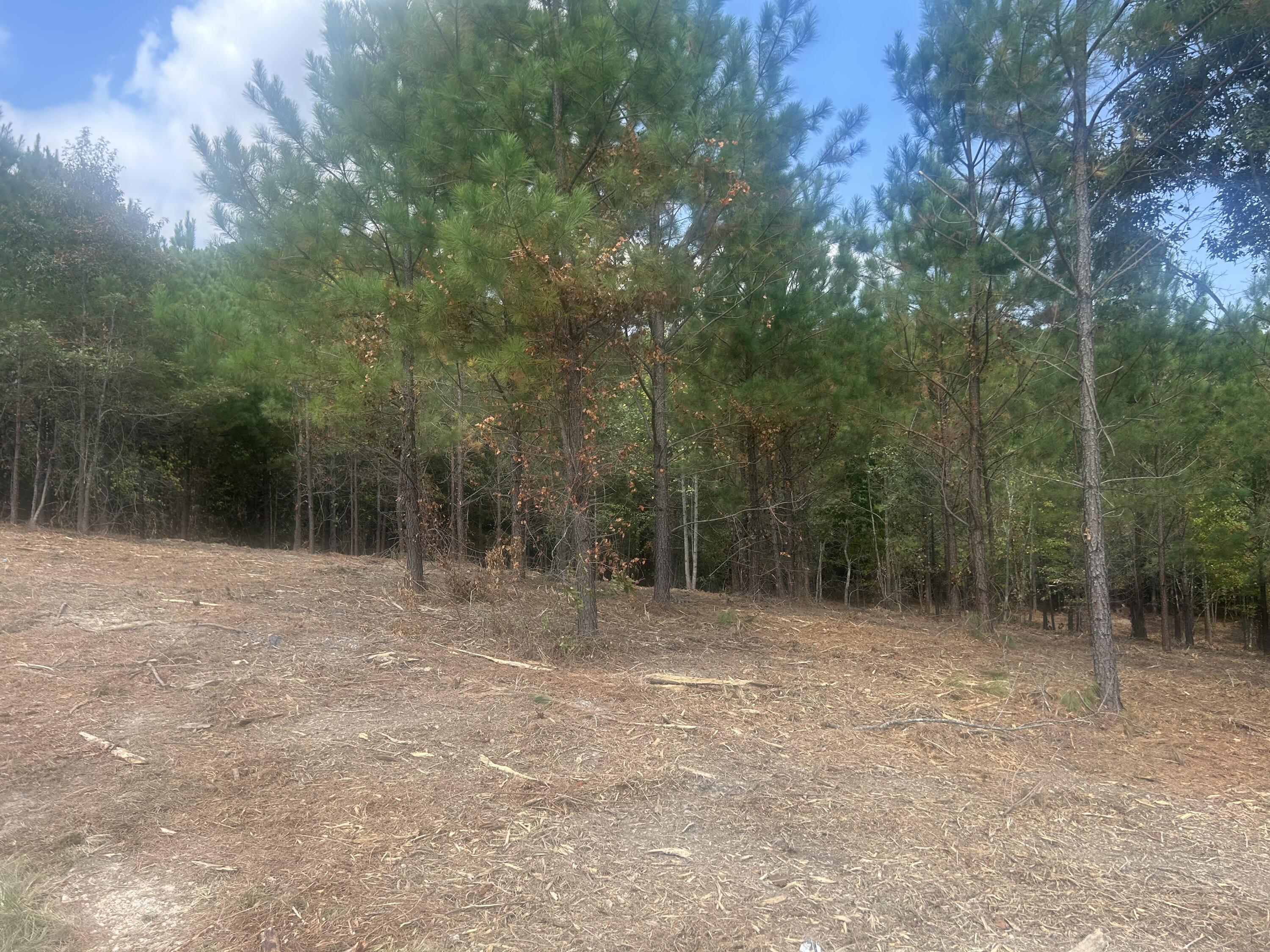 13 Stonechase Lane Cohutta, GA 30710 - Photo 14 of 17 IMG_4051