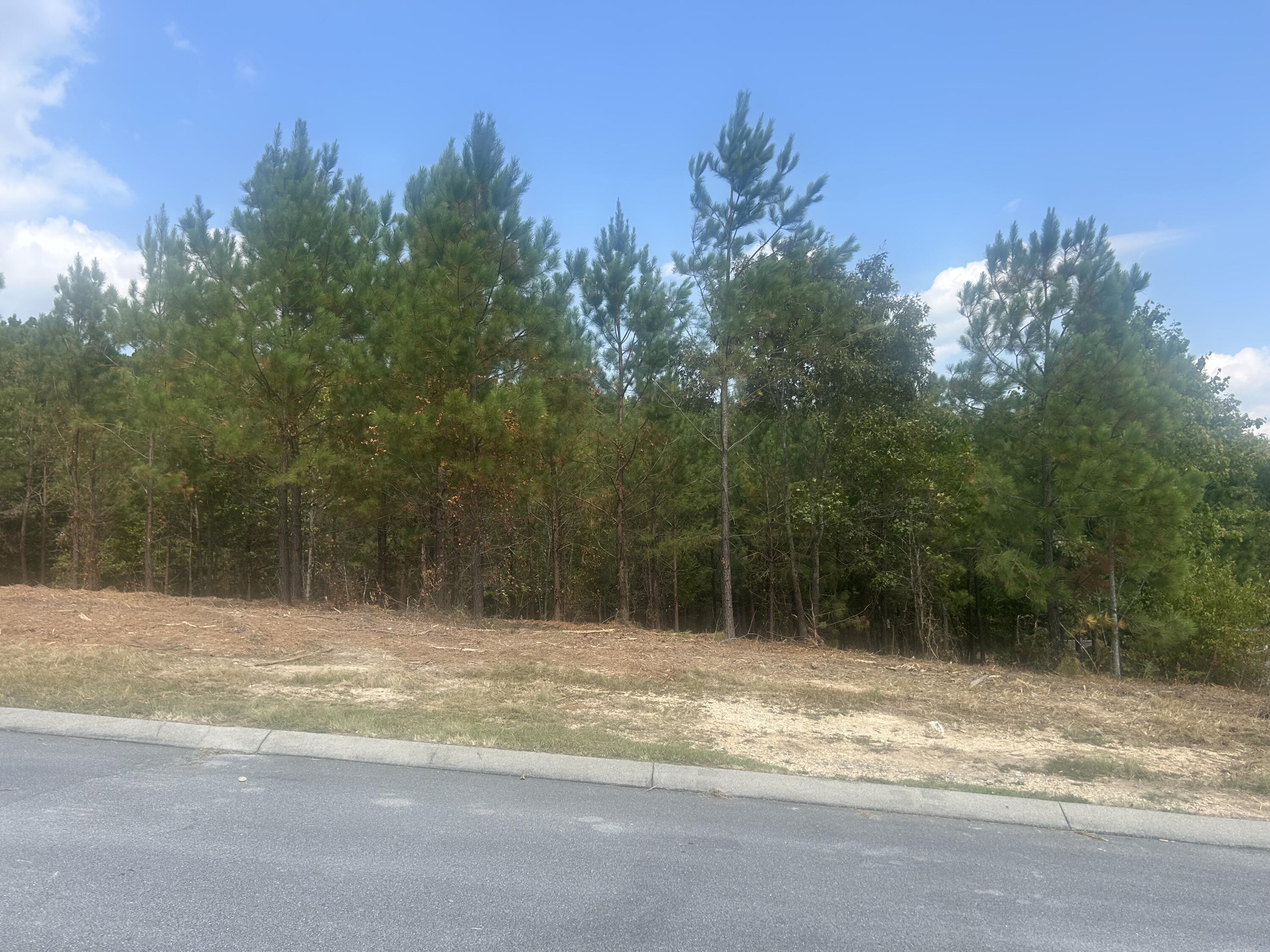 13 Stonechase Lane Cohutta, GA 30710 - Photo 15 of 17 IMG_4052