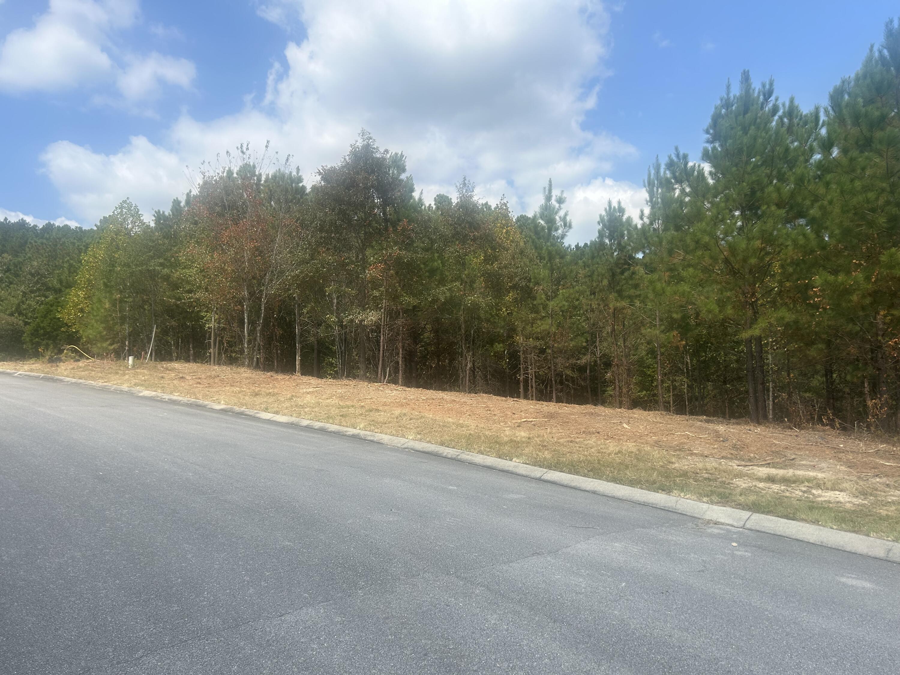 13 Stonechase Lane Cohutta, GA 30710 - Photo 16 of 17 IMG_4053