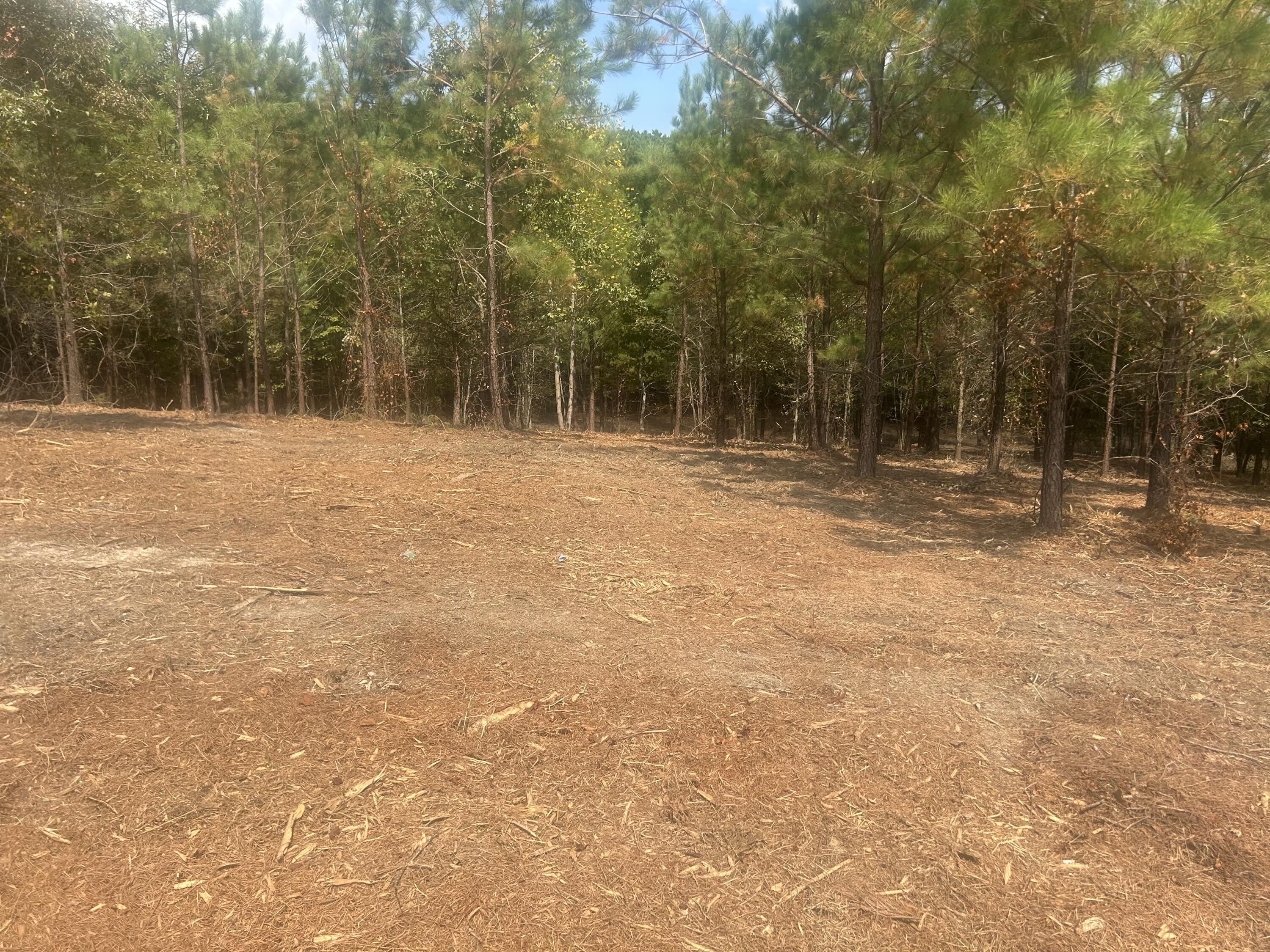 13 Stonechase Lane Cohutta, GA 30710 - Photo 17 of 17 IMG_4054