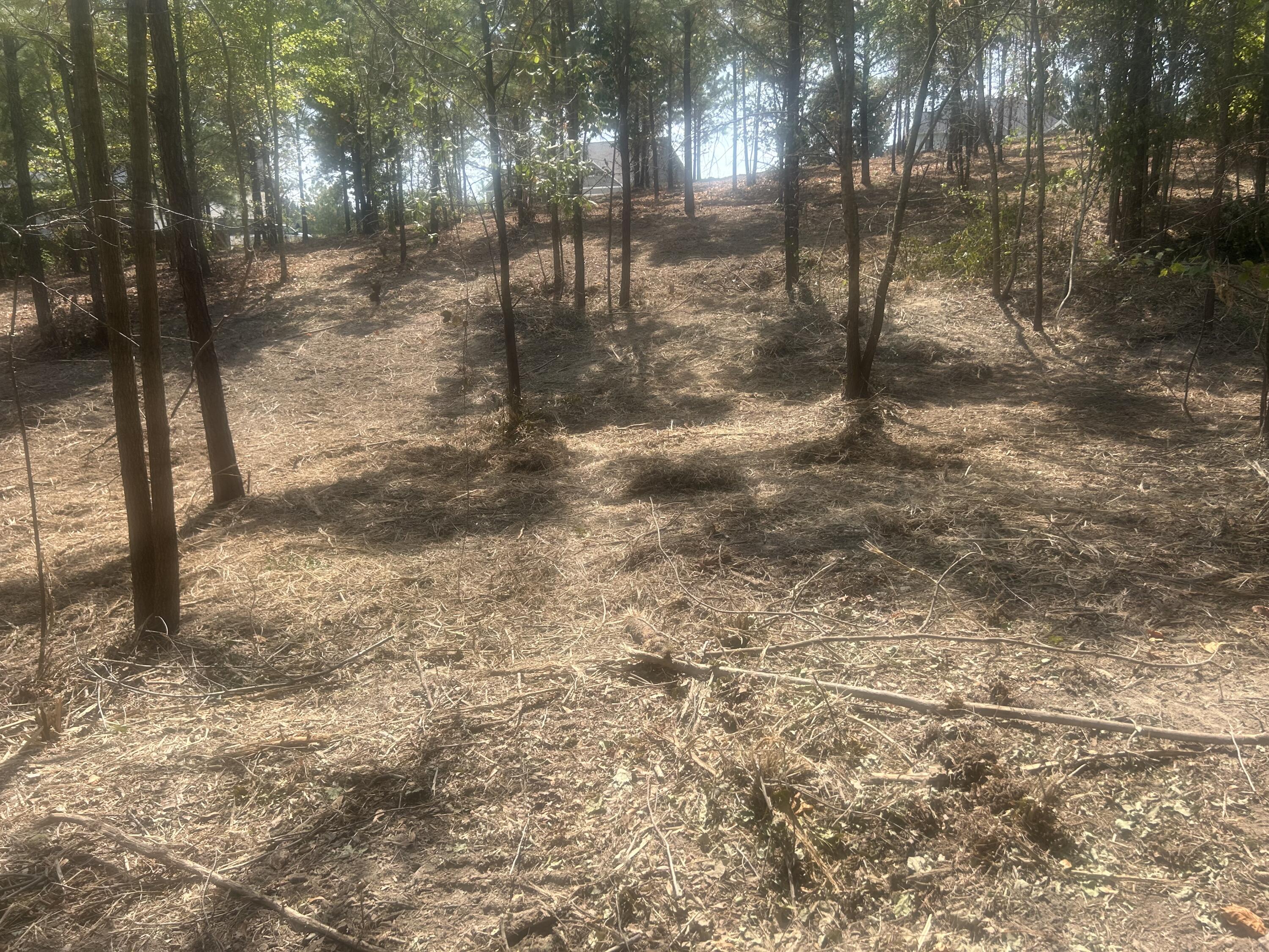 13 Stonechase Lane Cohutta, GA 30710 - Photo 2 of 17 IMG_4039