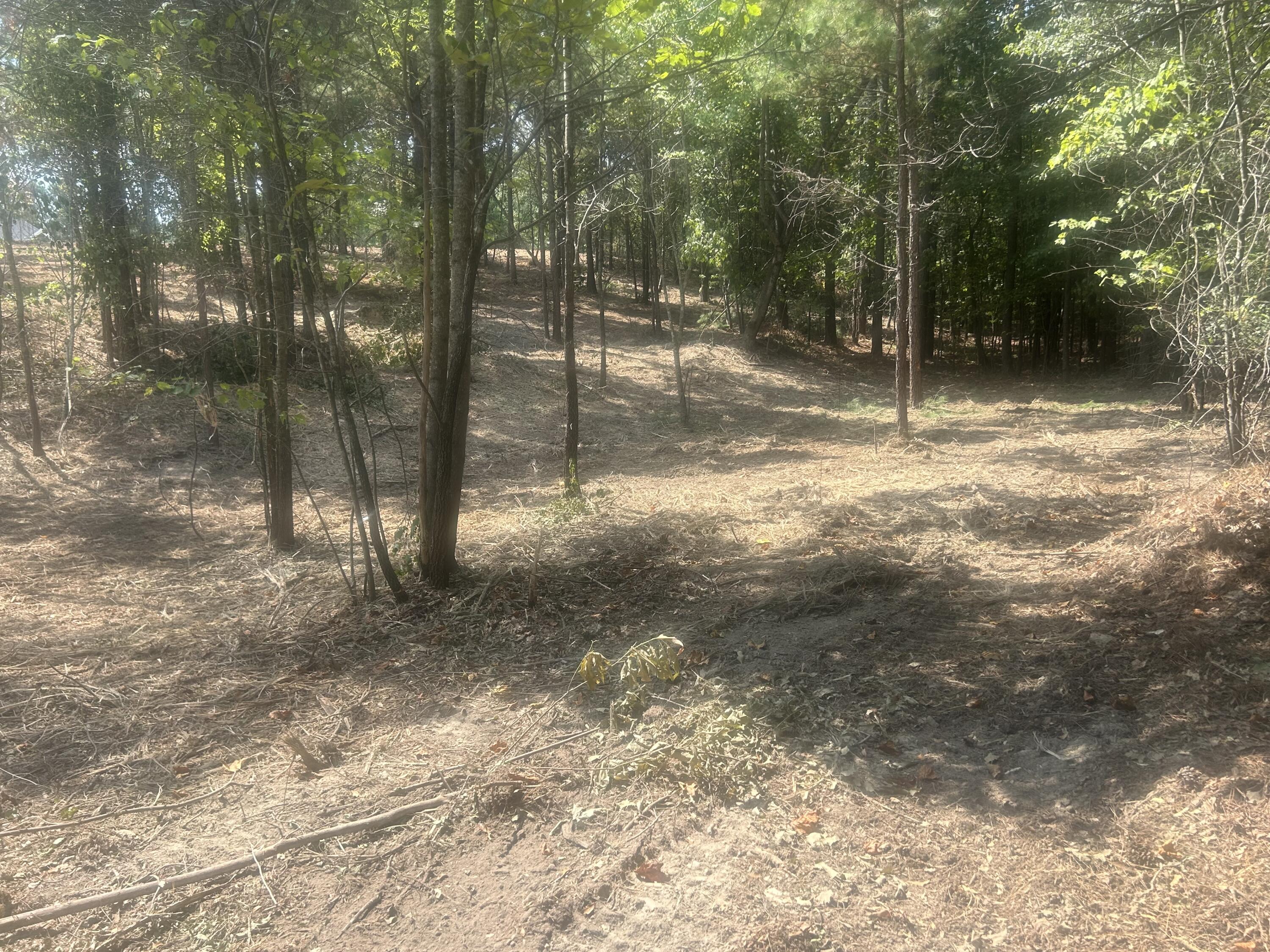 13 Stonechase Lane Cohutta, GA 30710 - Photo 3 of 17 IMG_4040