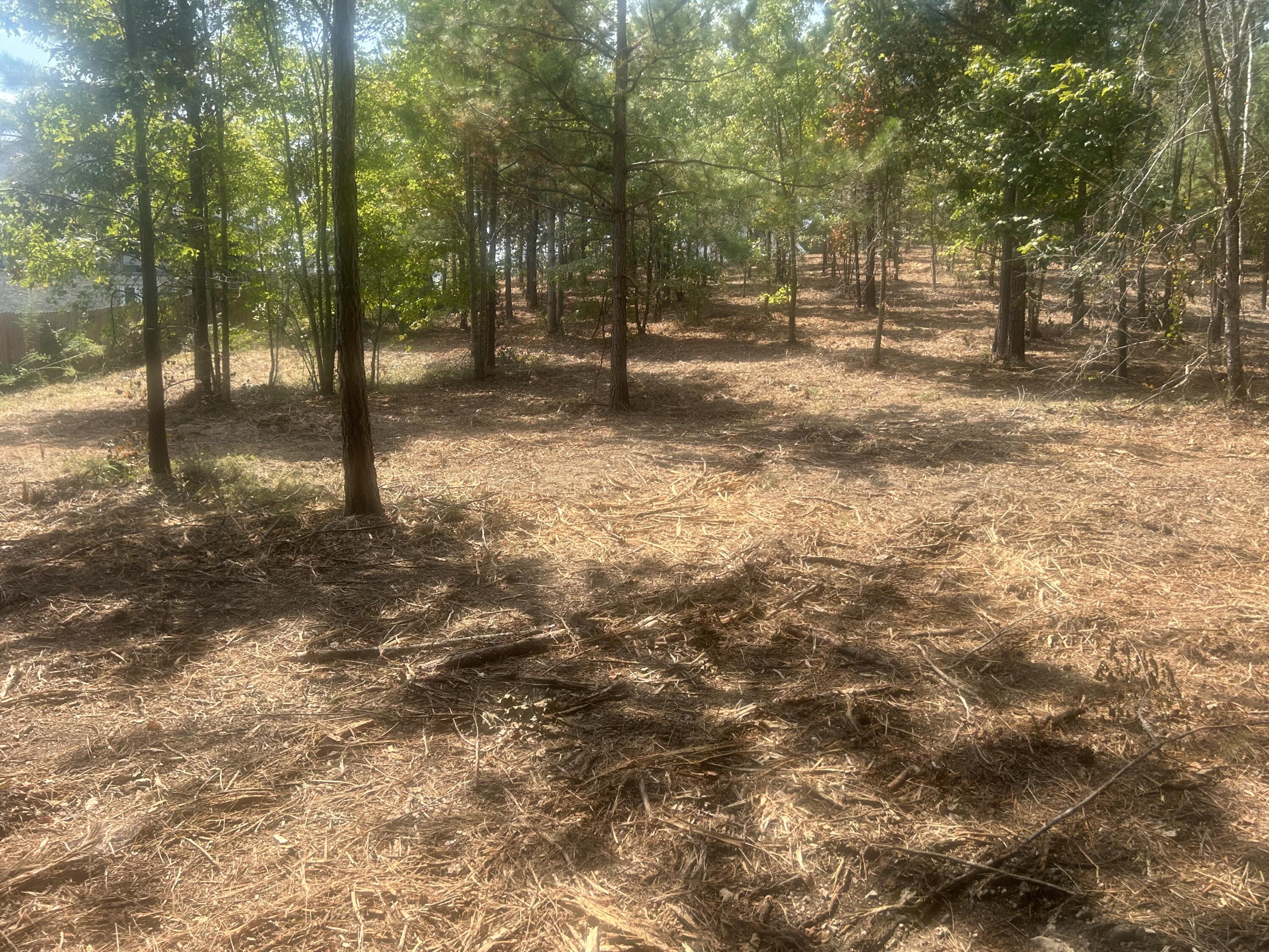 13 Stonechase Lane Cohutta, GA 30710 - Photo 5 of 17 IMG_4042