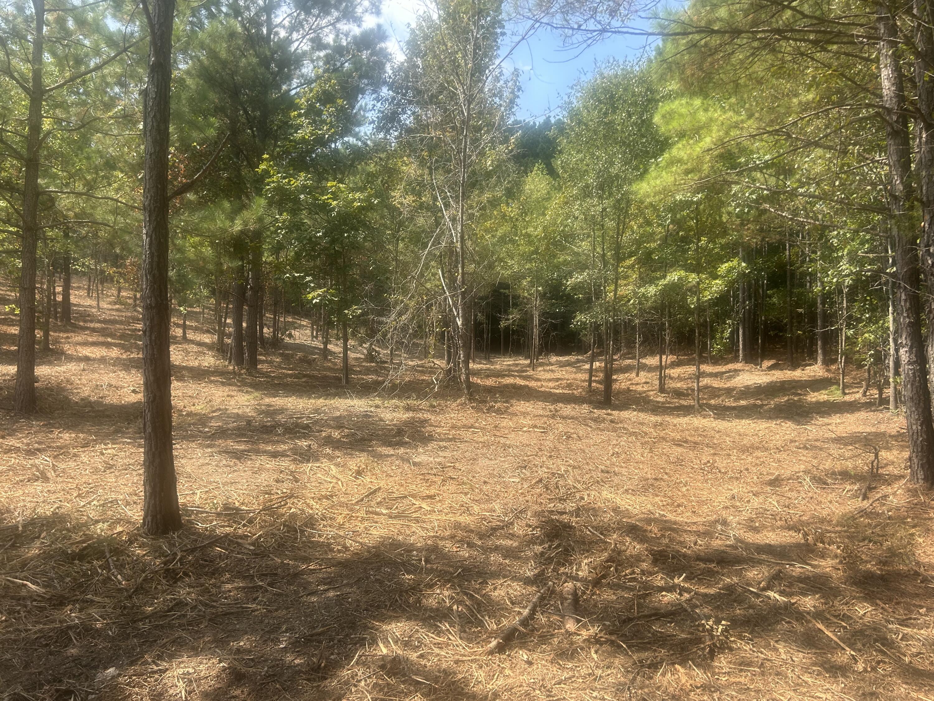 13 Stonechase Lane Cohutta, GA 30710 - Photo 6 of 17 IMG_4043