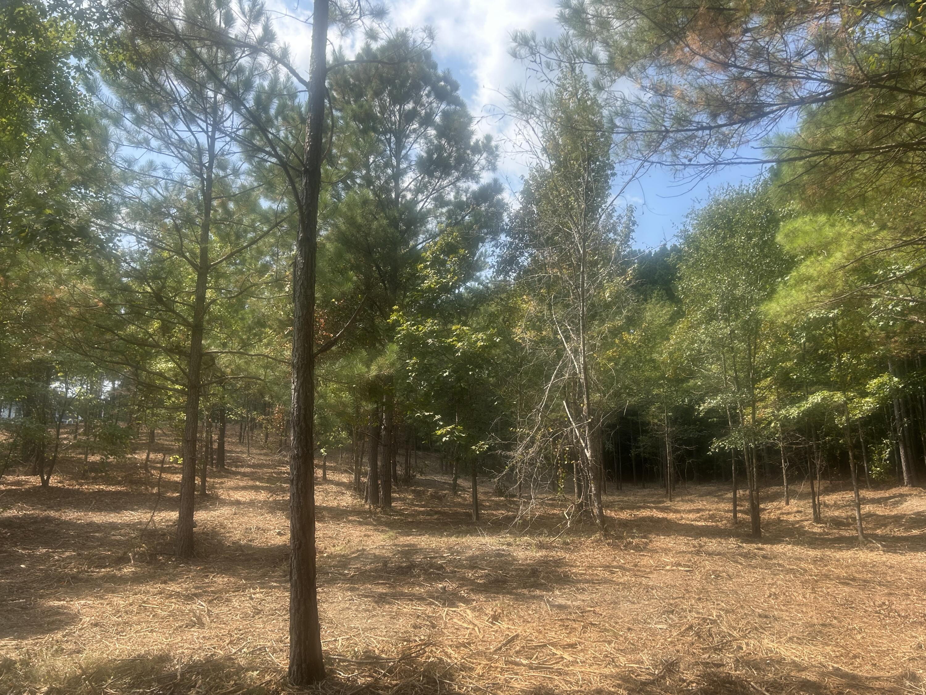 13 Stonechase Lane Cohutta, GA 30710 - Photo 7 of 17 IMG_4044