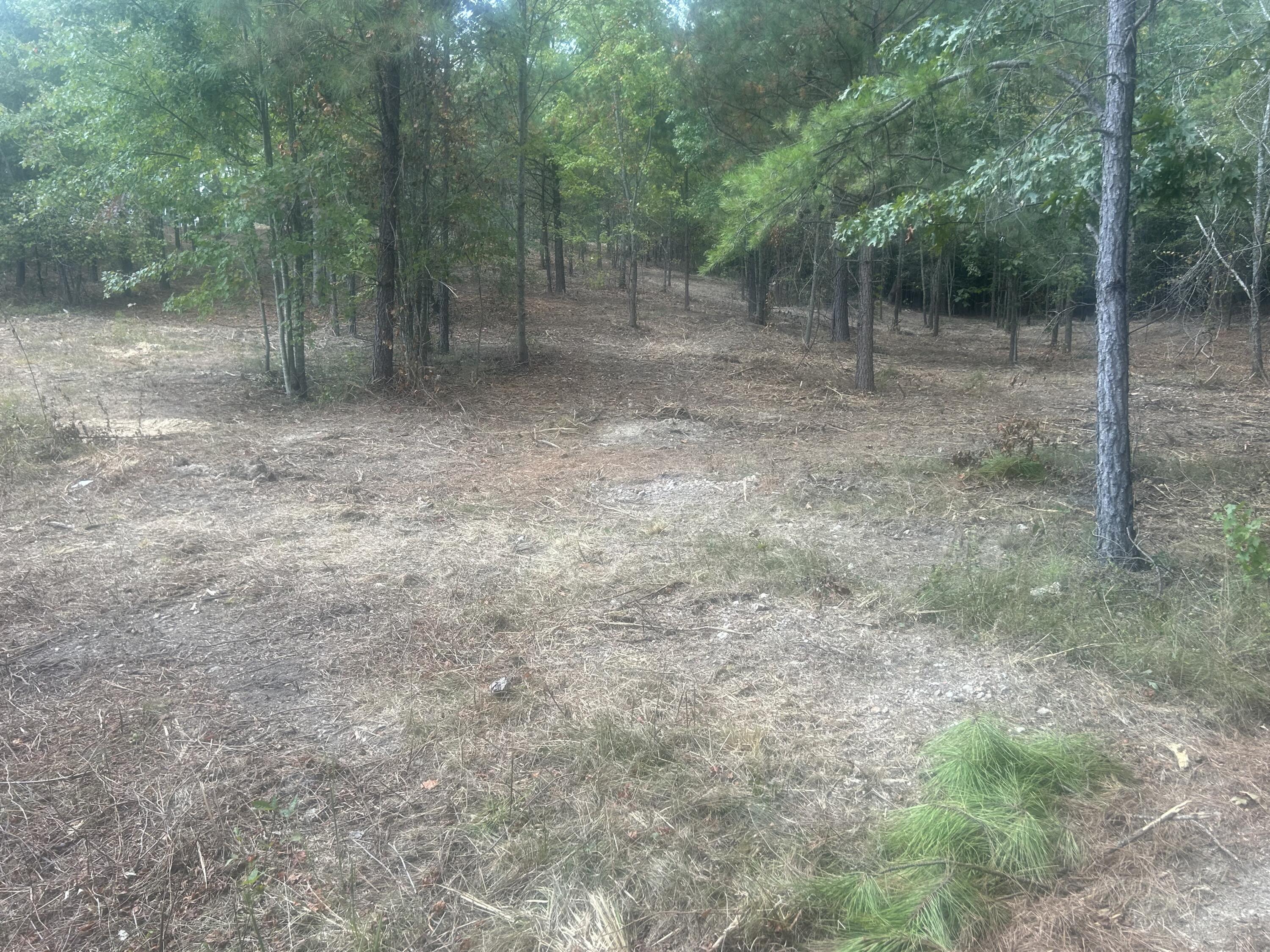 13 Stonechase Lane Cohutta, GA 30710 - Photo 8 of 17 IMG_4045