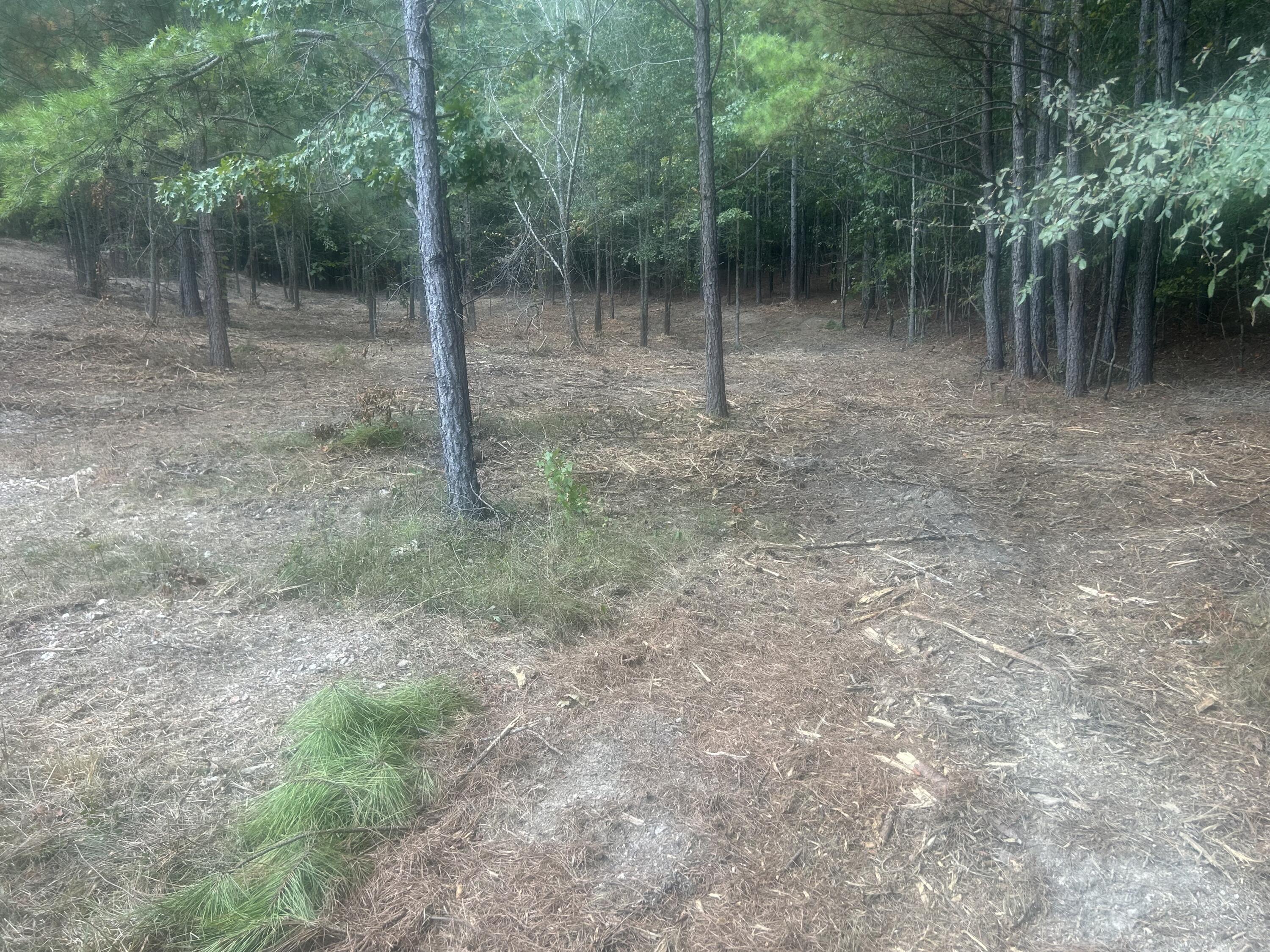 13 Stonechase Lane Cohutta, GA 30710 - Photo 9 of 17 IMG_4046