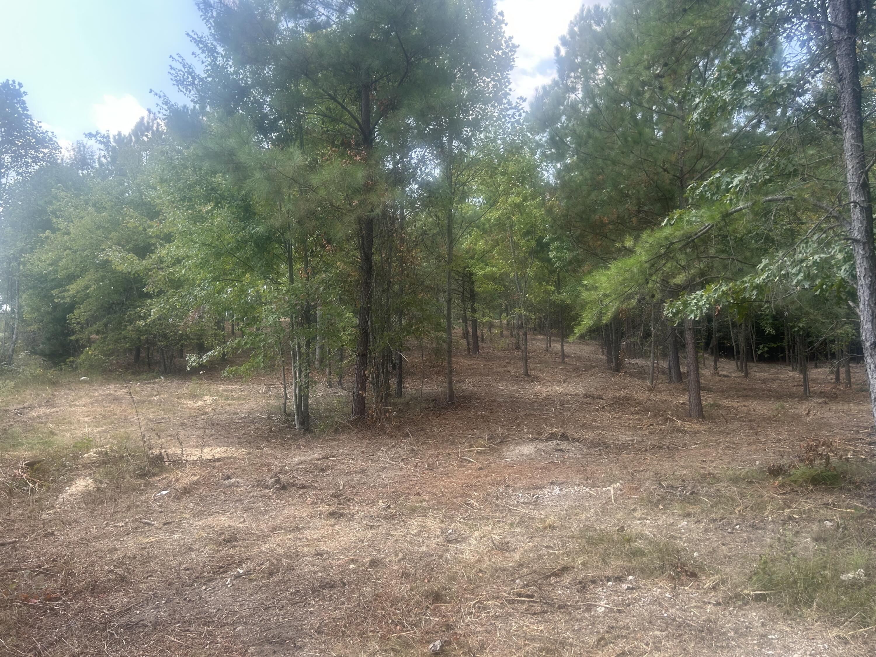 13 Stonechase Lane Cohutta, GA 30710 - Photo 10 of 17 IMG_4047