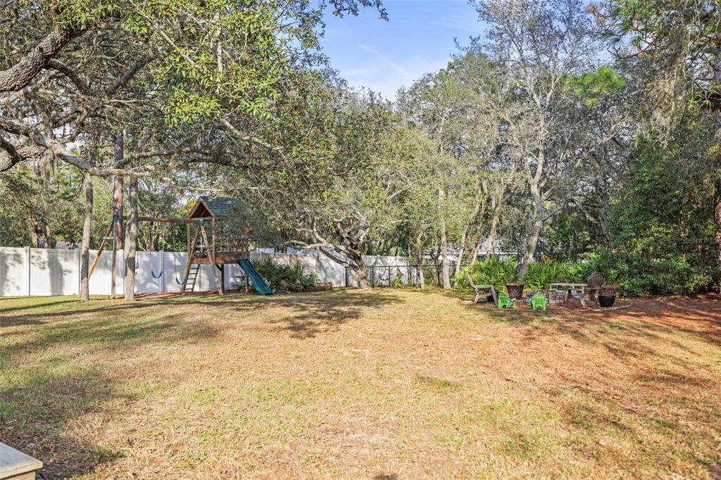 8412 Christopher Lane Weeki Wachee, FL 34613 - Photo 17 of 39 a view of a yard with plants and trees