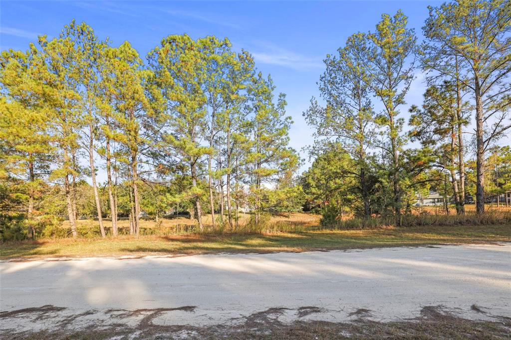 8412 Christopher Lane Weeki Wachee, FL 34613 - Photo 43 of 43