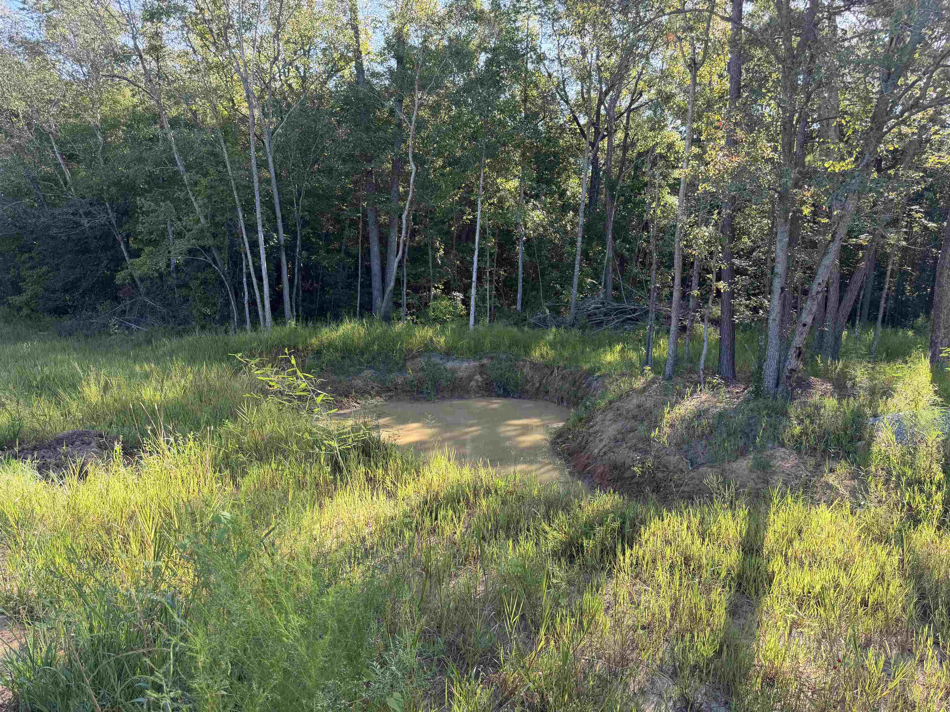 976 New Pine Road Johnsonville, SC 29555 - Photo 23 of 24 Gallery Image 23