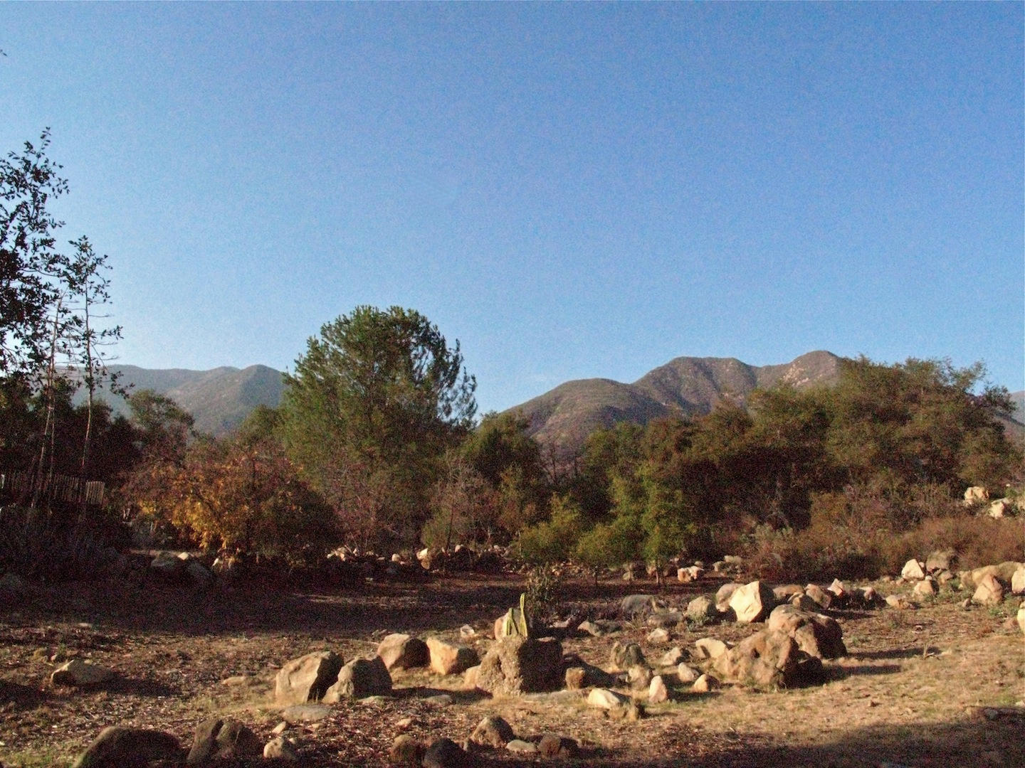 1729 Ladera Road Ojai, CA 93023 - Photo 20 of 27 IMG_8311