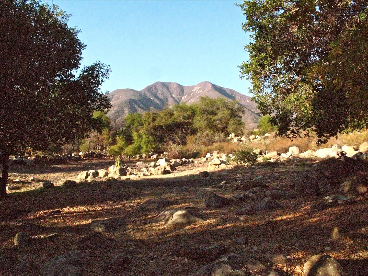 1729 Ladera Road Ojai, CA 93023 - Photo 21 of 27 IMG_8297