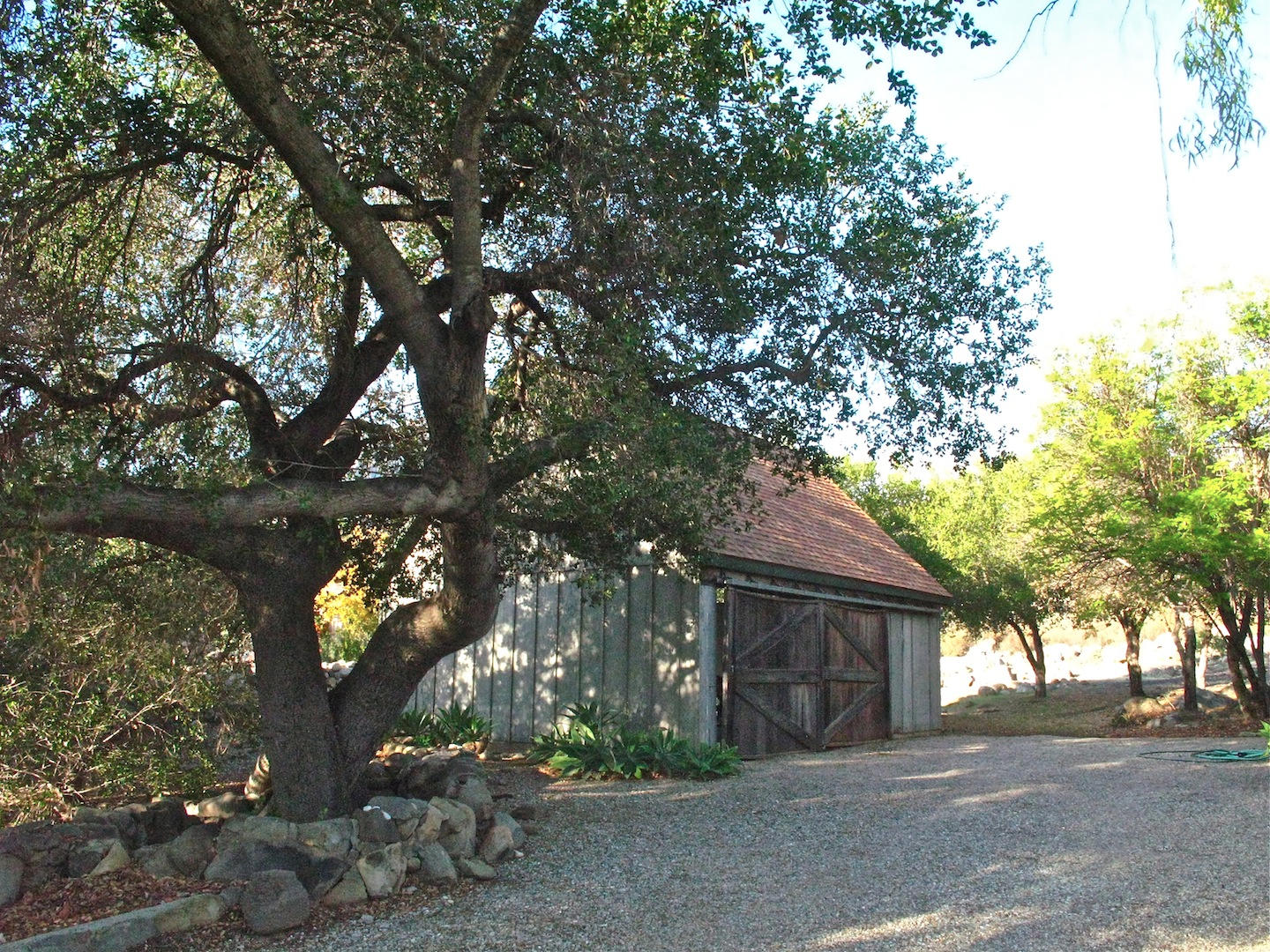 1729 Ladera Road Ojai, CA 93023 - Photo 3 of 27 IMG_8260