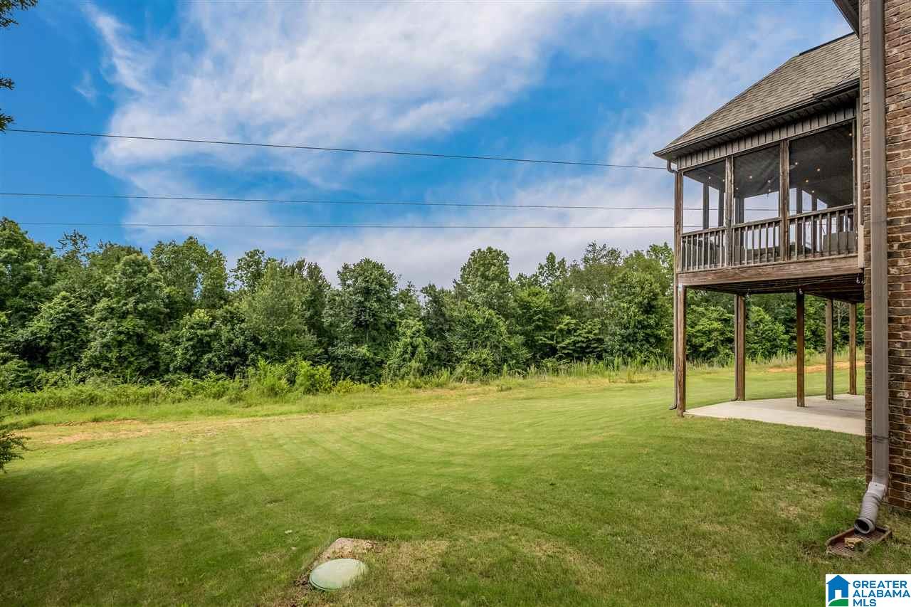 2071 Chelsea Ridge Drive Columbiana, AL 35051 - Photo 46 of 49