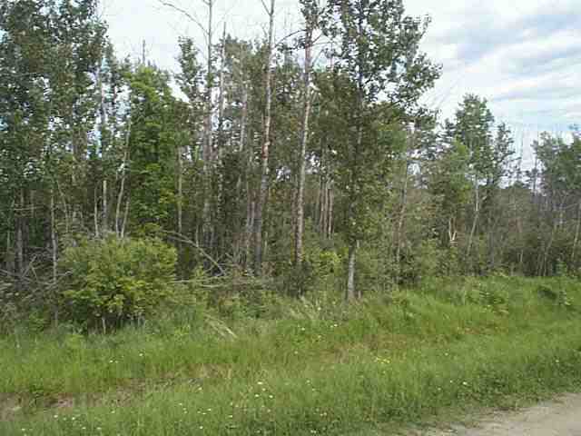 - Lindstrom Road Cotton, MN 55724 - Photo 3 of 5