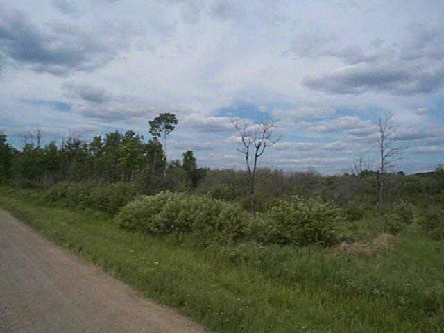 - Lindstrom Road Cotton, MN 55724 - Photo 4 of 5