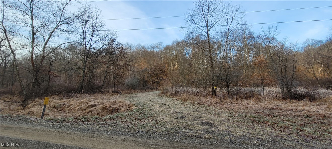 399 Township Road Coshocton, OH 43812 - Photo 2 of 50