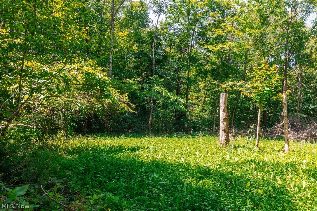 Richards Rd Road Cambridge, OH 43725 - Photo 23 of 46