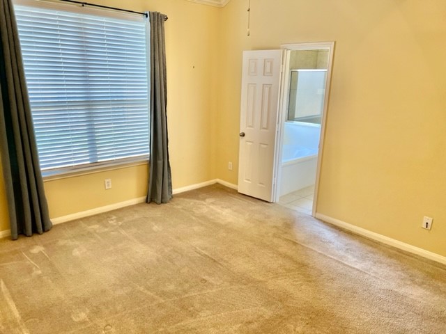25114 Diamond Ranch Drive Katy, TX 77494 - Photo 18 of 23
