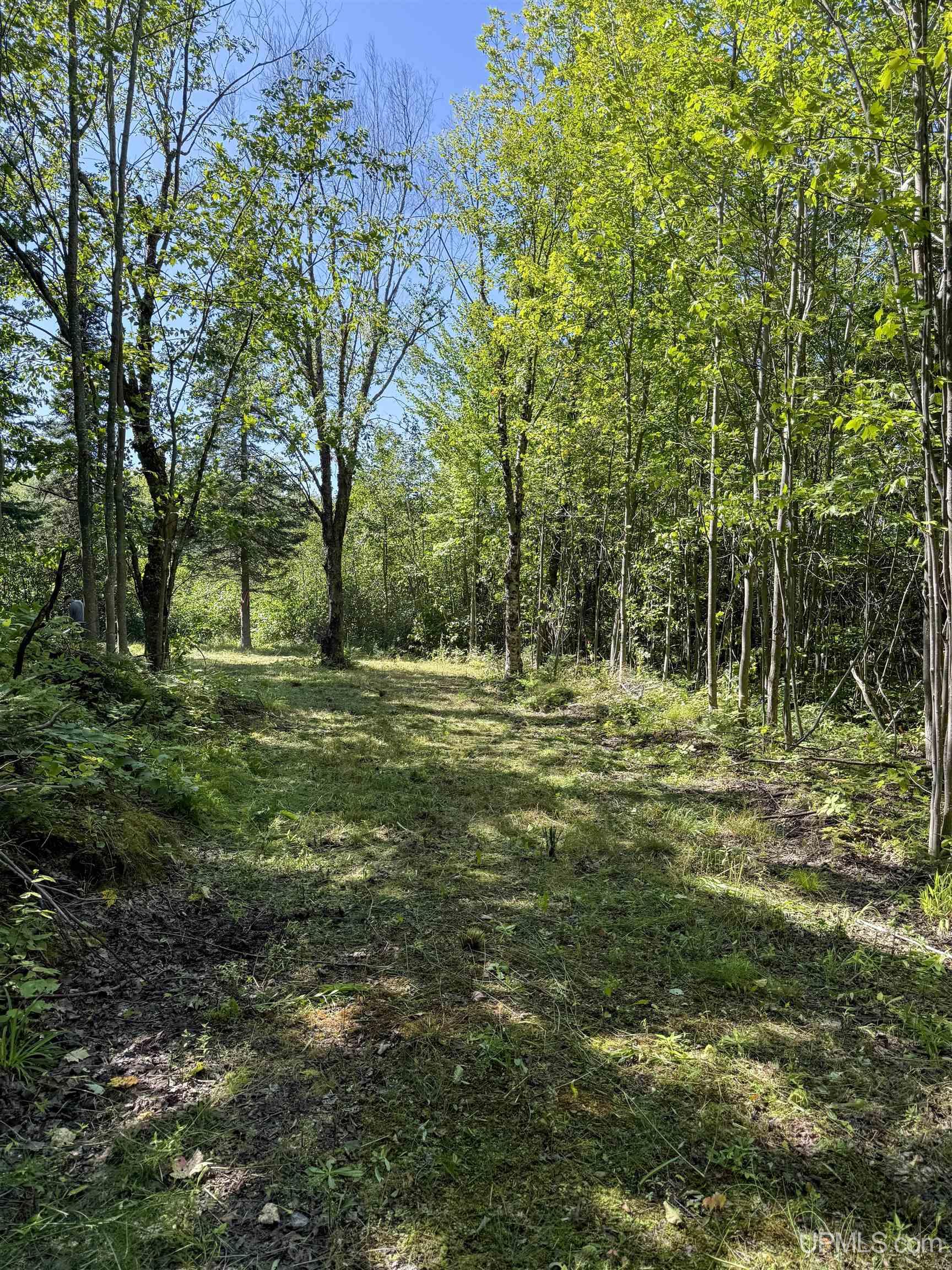 Lot 2 Off Hwy M-64 Road Ontonagon, MI 49953 - Photo 3 of 37