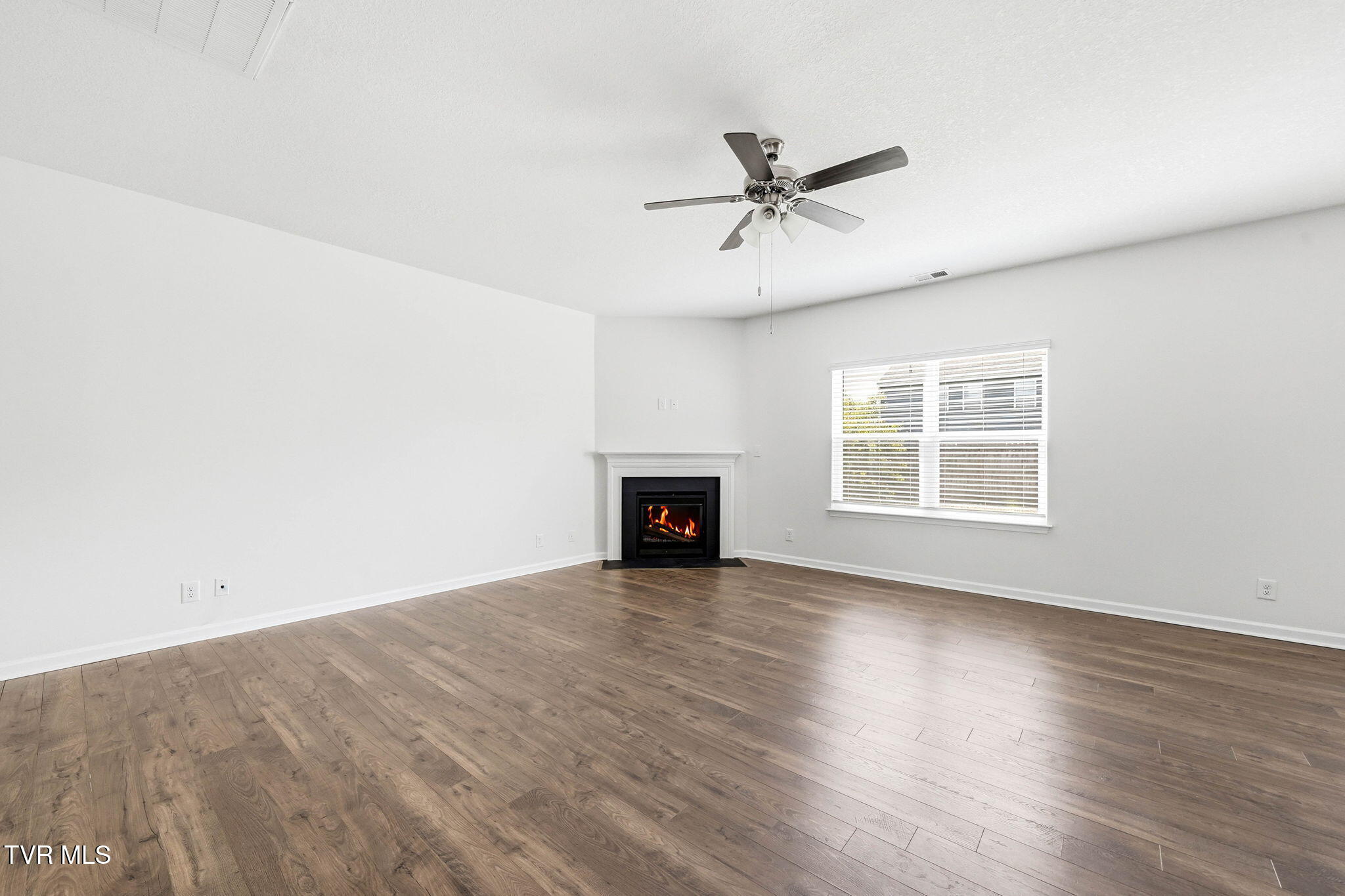 1129 Raccoon Lane Piney Flats, TN 37686 - Photo 9 of 41 45-web-or-mls-1129 Raccoon Ln-7