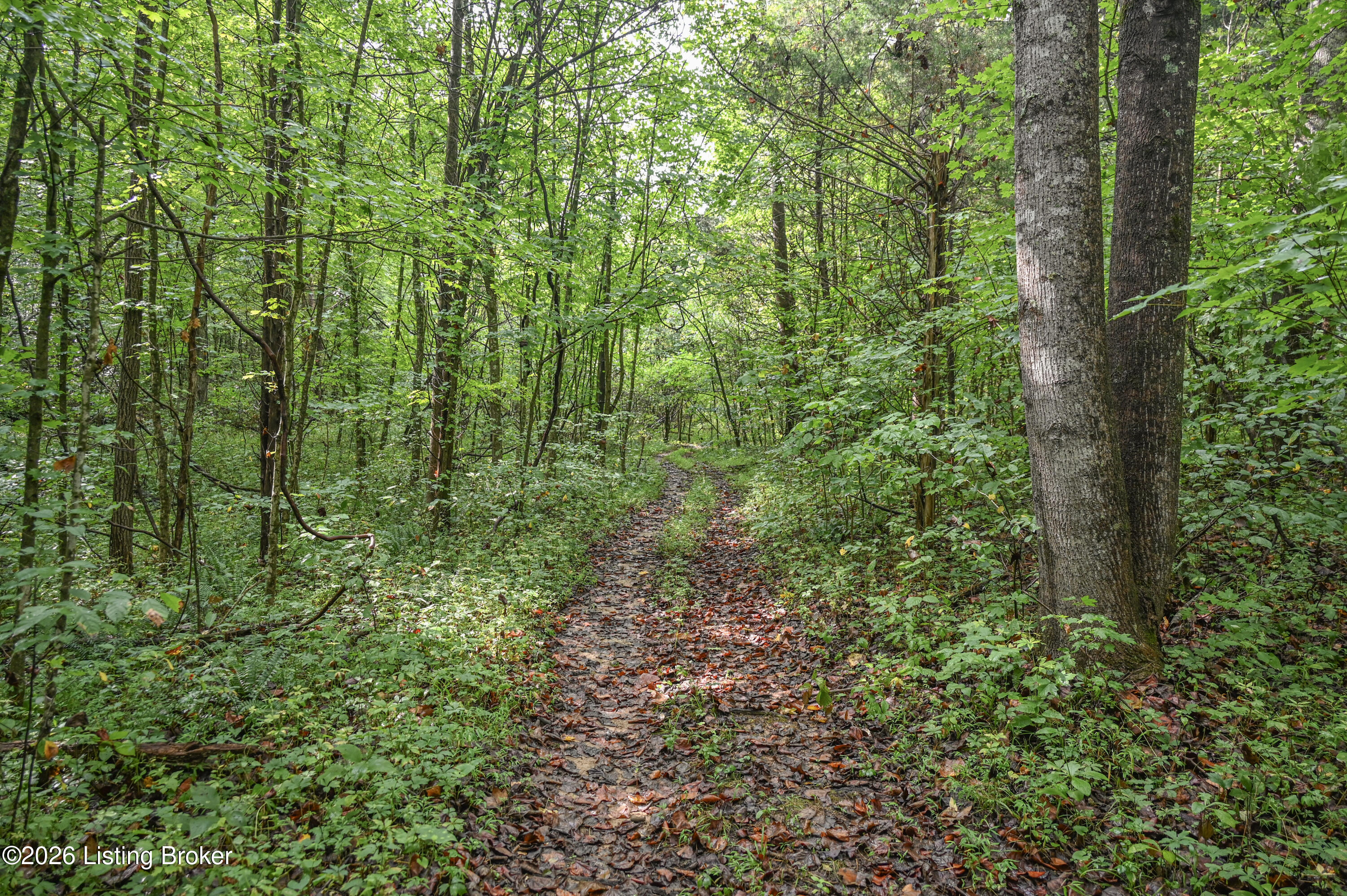 585 Tucker Higgs Road Hudson, KY 40145 - Photo 4 of 15 #4