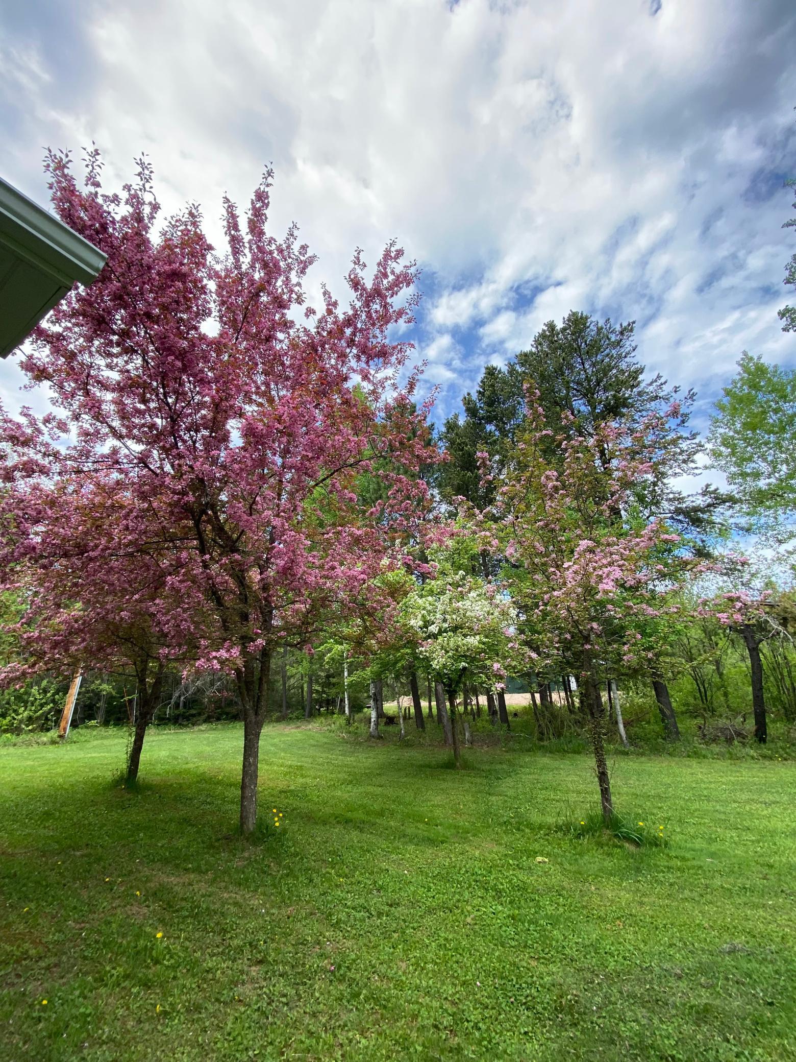 2163 Fors Road Two Harbors, MN 55616 - Photo 33 of 34