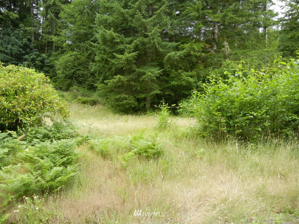 0 Kellogg Road Ariel, WA 98603 - Photo 3 of 11 Gallery Image 3