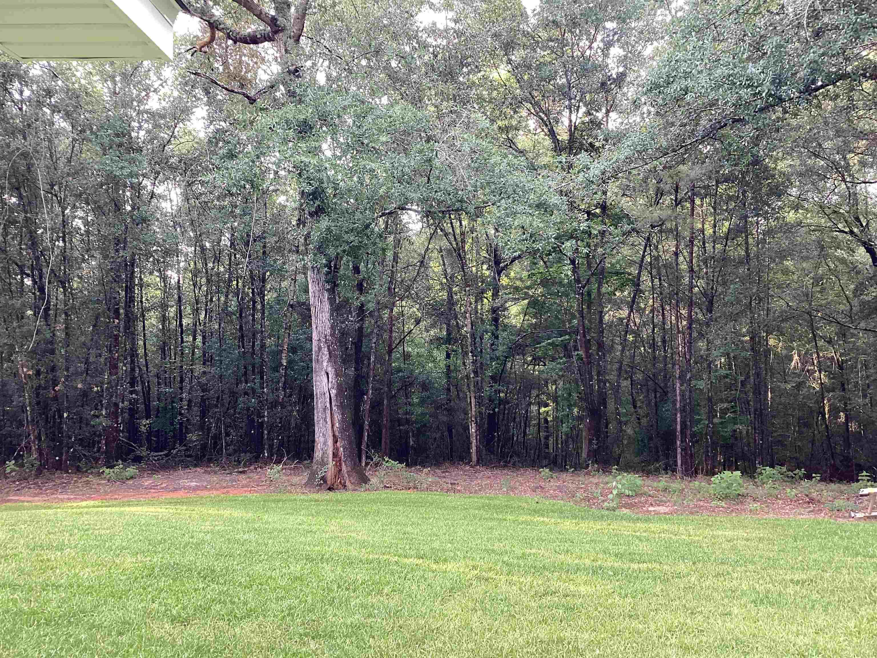 1 Indigo Creek Road Andalusia, AL 36421 - Photo 29 of 44 Gallery Image 29