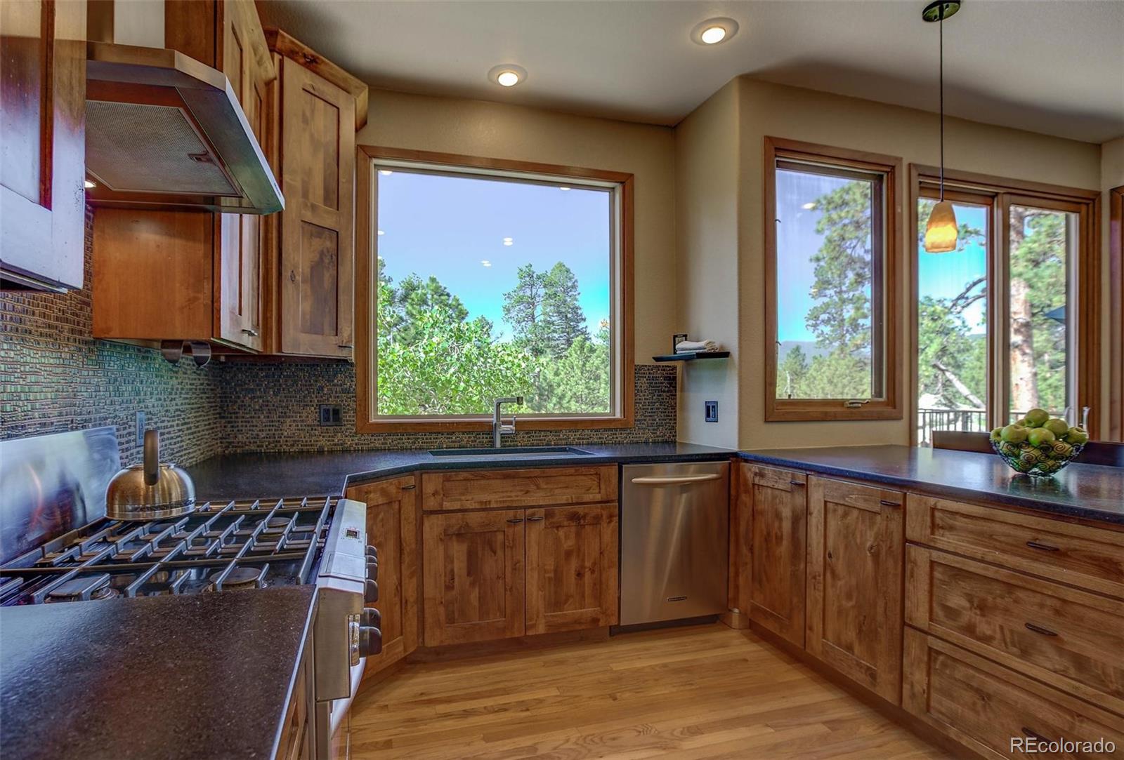 29982 Troutdale Ridge Road Evergreen, CO 80439 - Photo 7 of 34 Gallery Image 7