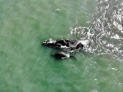 $1,495,000 | 2299 North Ocean Shore Boulevard, Flagler Beach, FL 32136