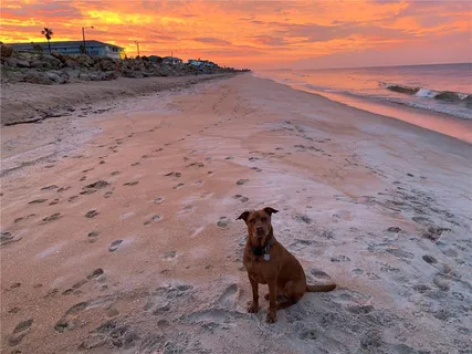 $1,495,000 | 2299 North Ocean Shore Boulevard, Flagler Beach, FL 32136