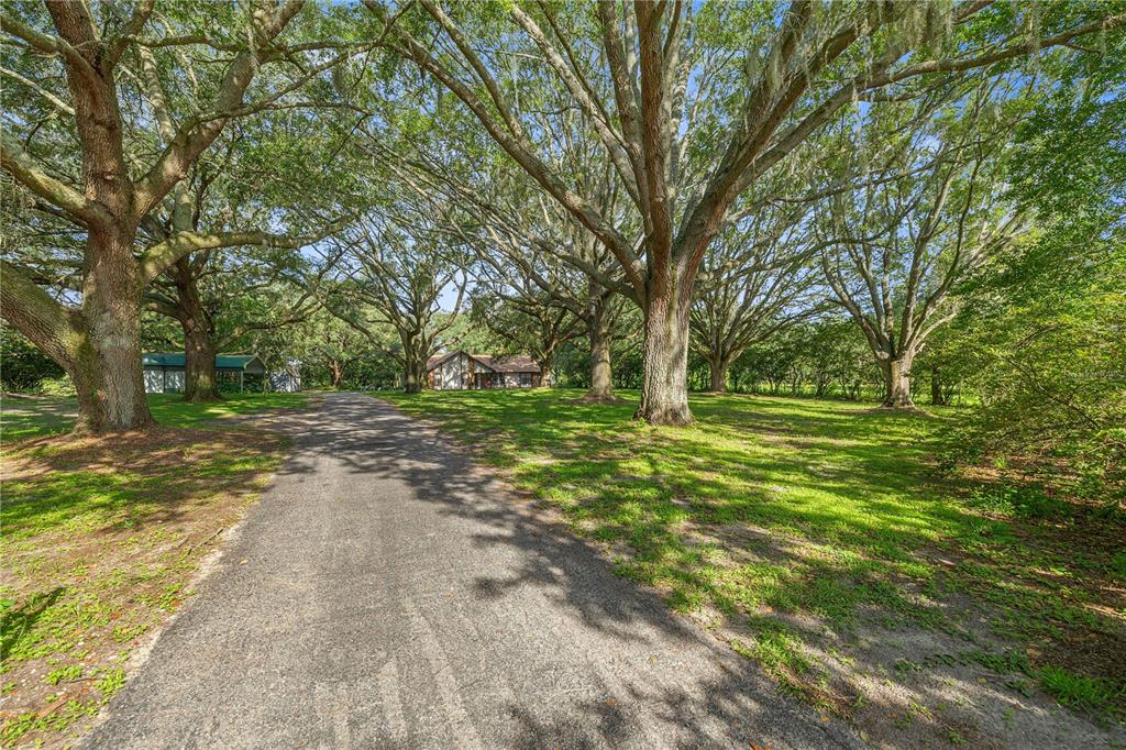 16250 Southwest 20th Avenue Road Ocala, FL 34473 - Photo 4 of 75