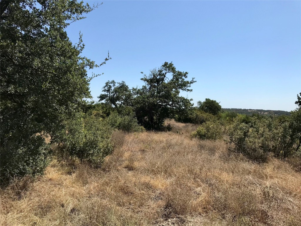 970 32nd San Marcos, TX 78666 - Photo 14 of 21 a view of a dry yard with trees