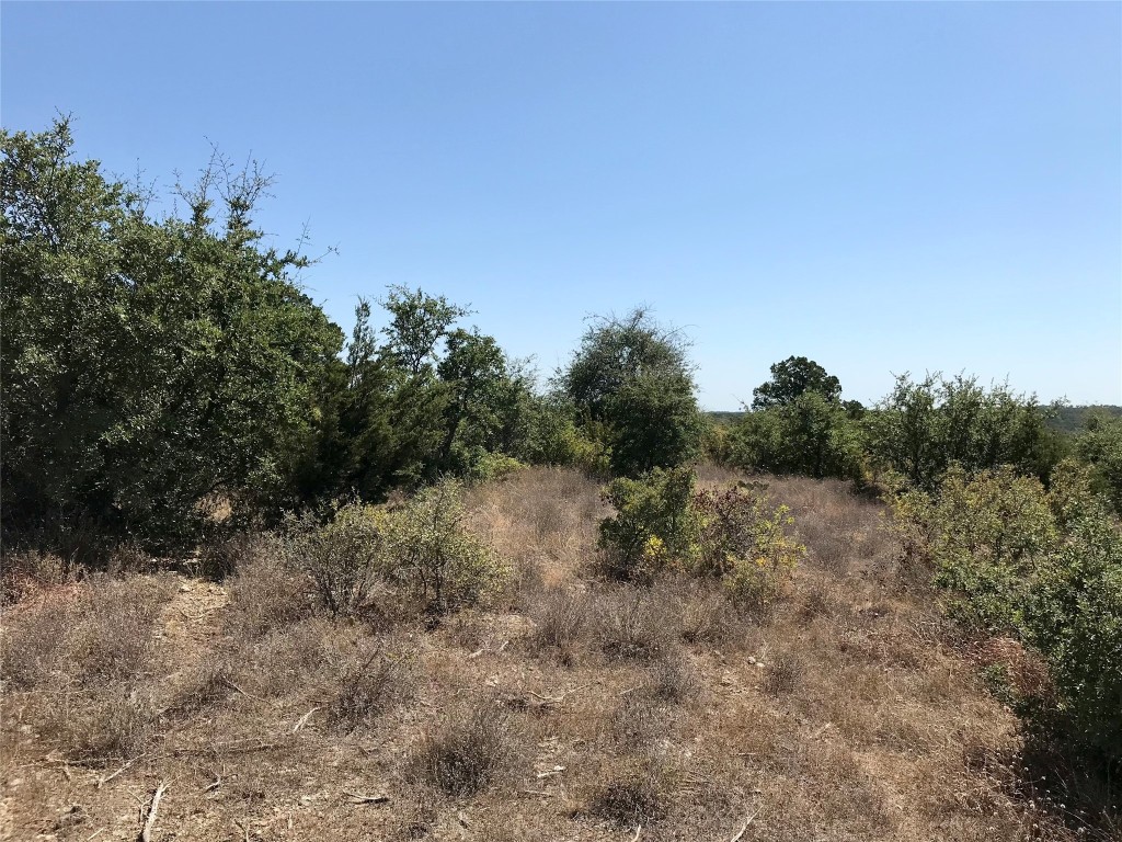970 32nd San Marcos, TX 78666 - Photo 8 of 21 a view of a forest with lots of trees