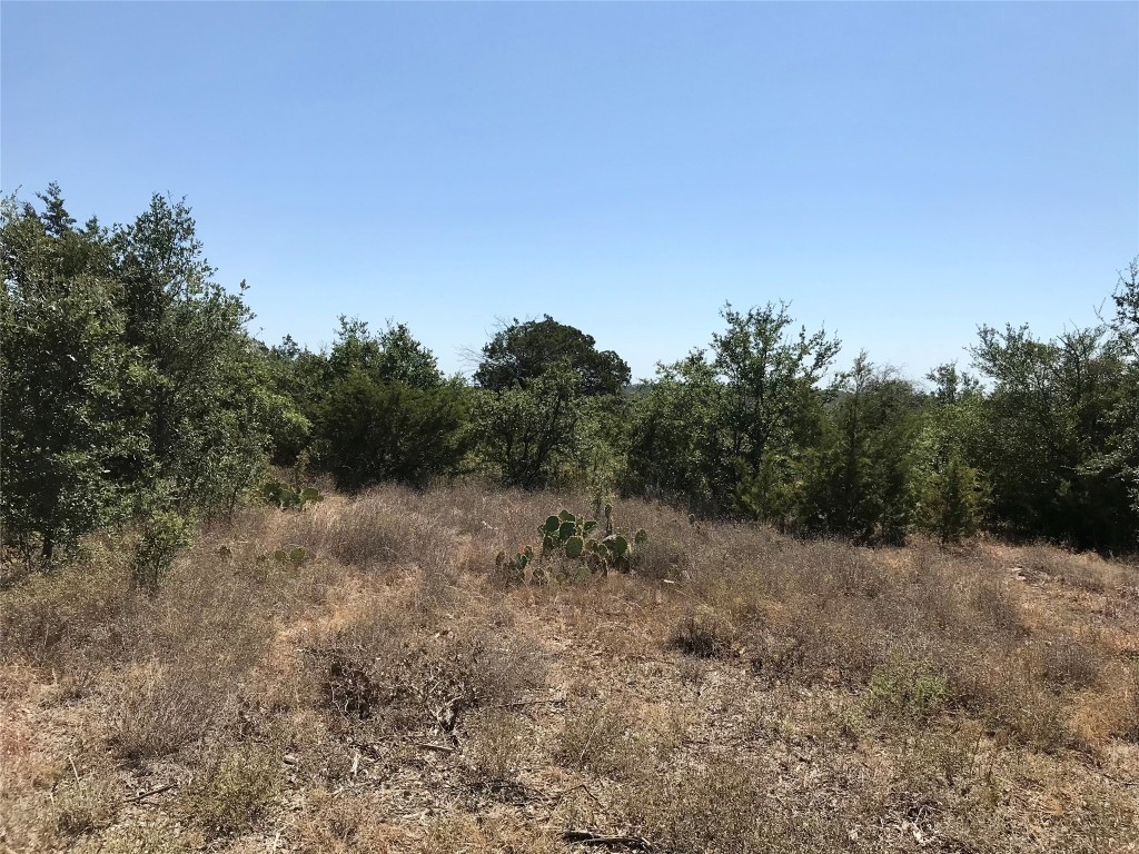 970 32nd San Marcos, TX 78666 - Photo 9 of 21 a view of a forest with trees in the background