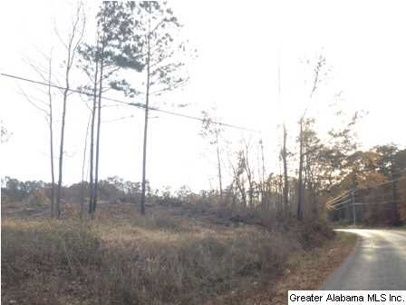 Rock Church Road, Unit 7 3 Sylacauga, AL 35150 - Photo 27 of 27 Gallery Image 27