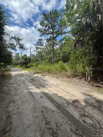 a view of backyard with green space