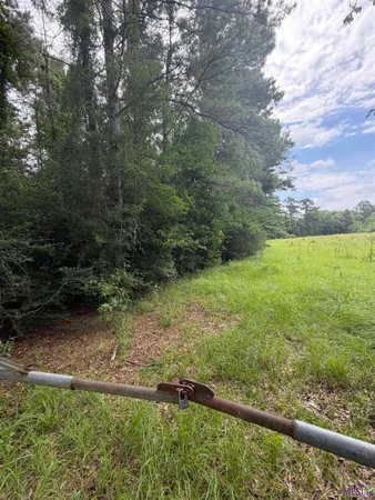 $65,000 | Tbd 7.45-acres Tbd 7.45-acres Belgian Road, Holden, LA 70744