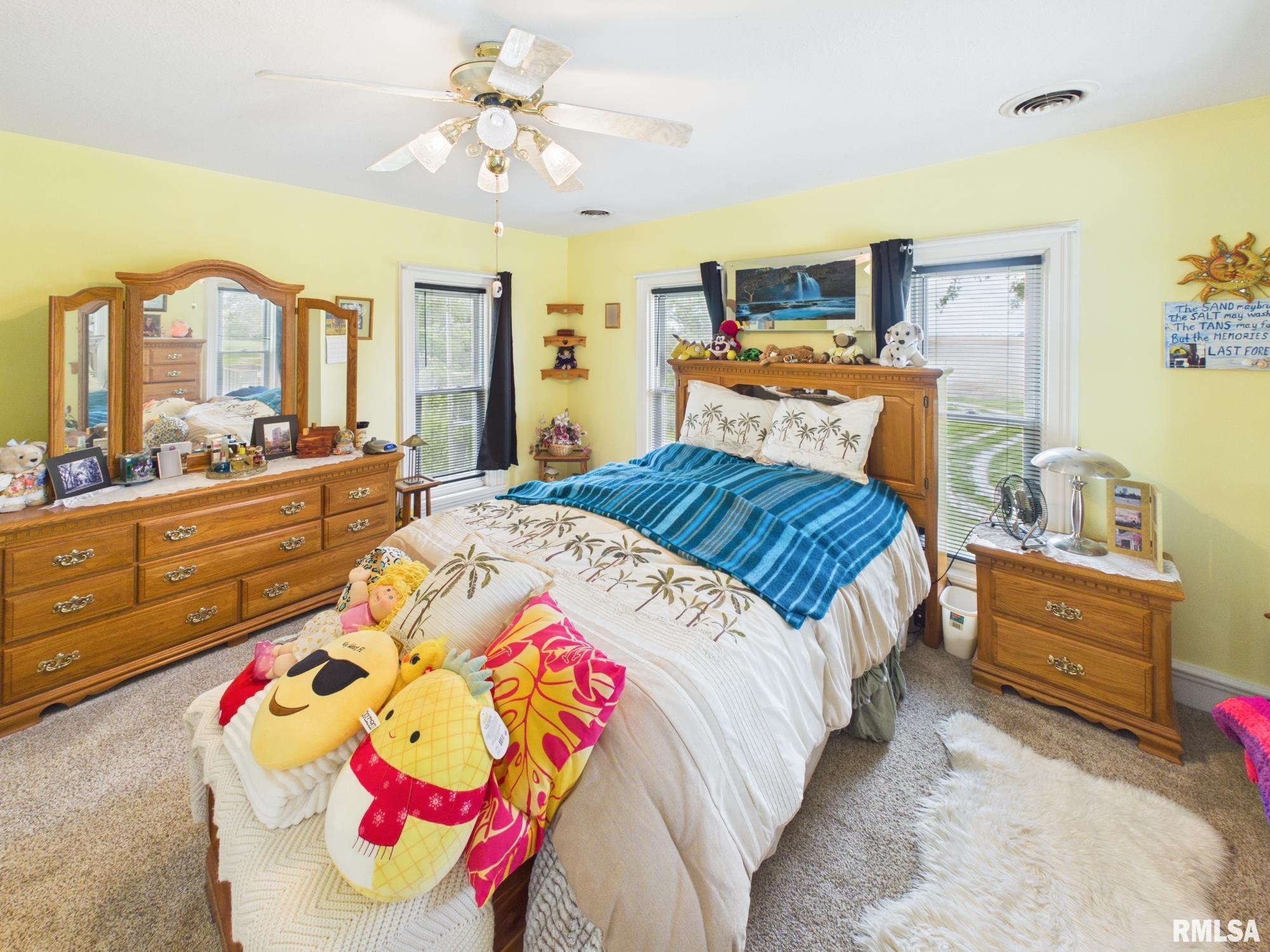 8832 Jackson Road Blue Mound, IL 62513 - Photo 34 of 69