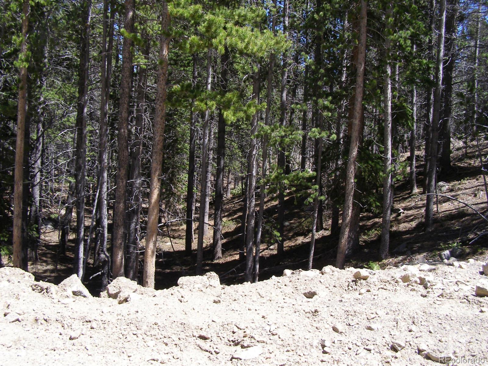 227 Upper Forest Road Idaho Springs, CO 80452 - Photo 1 of 10 Gallery Image 1