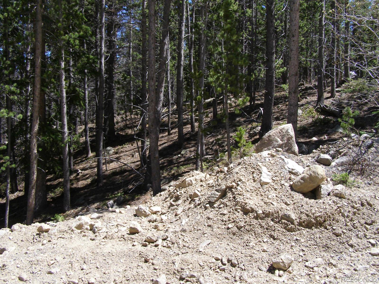 227 Upper Forest Road Idaho Springs, CO 80452 - Photo 5 of 10 Gallery Image 5