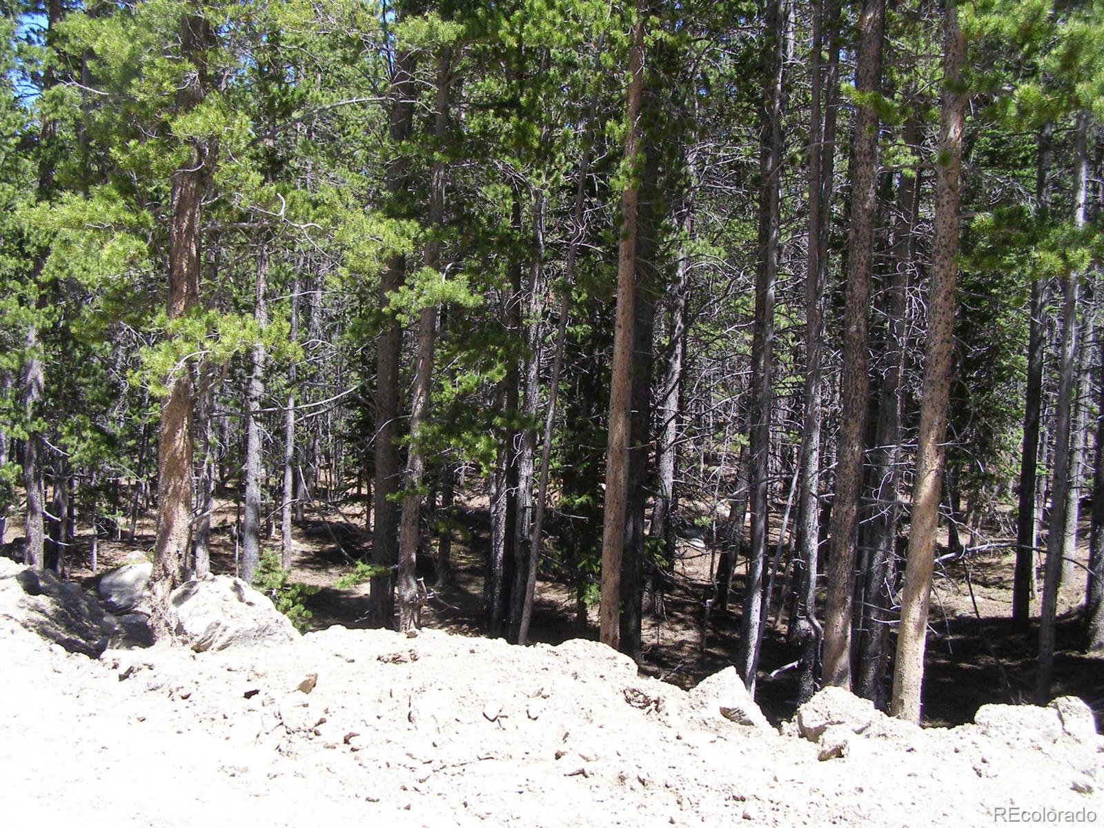 227 Upper Forest Road Idaho Springs, CO 80452 - Photo 6 of 10 Gallery Image 6